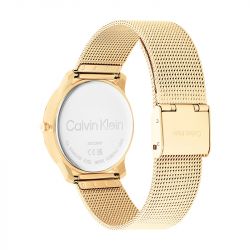 Montre femme calvin klein iconic mesh acier doré - montres-femme - edora - 2