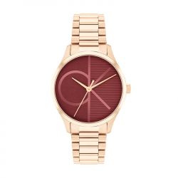 Montre femme calvin klein iconic rouge acier doré rose 25200366 - analogiques - edora - 0